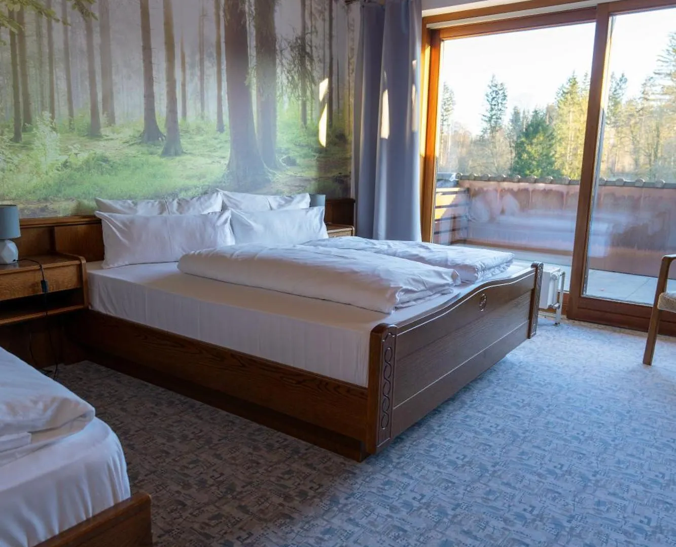 Wald- Und Tagungshotel Gelaender Schernfeld 3*,
