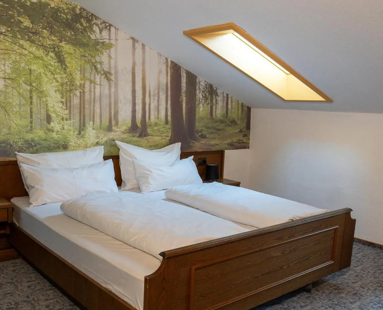 Wald- Und Tagungshotel Gelaender Schernfeld 3*,  Niemcy