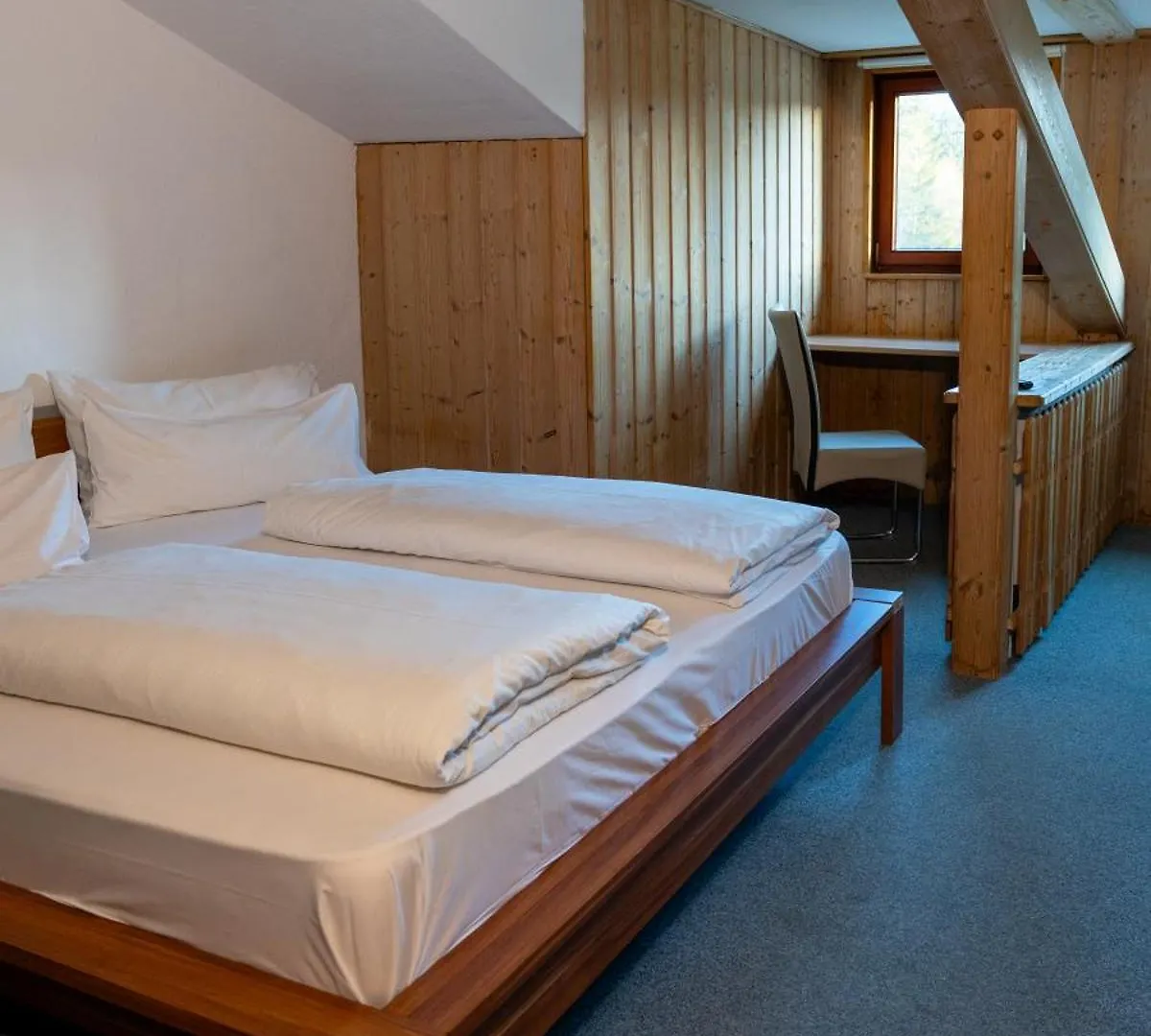 Hotel Wald- Und Tagungshotel Gelaender Schernfeld